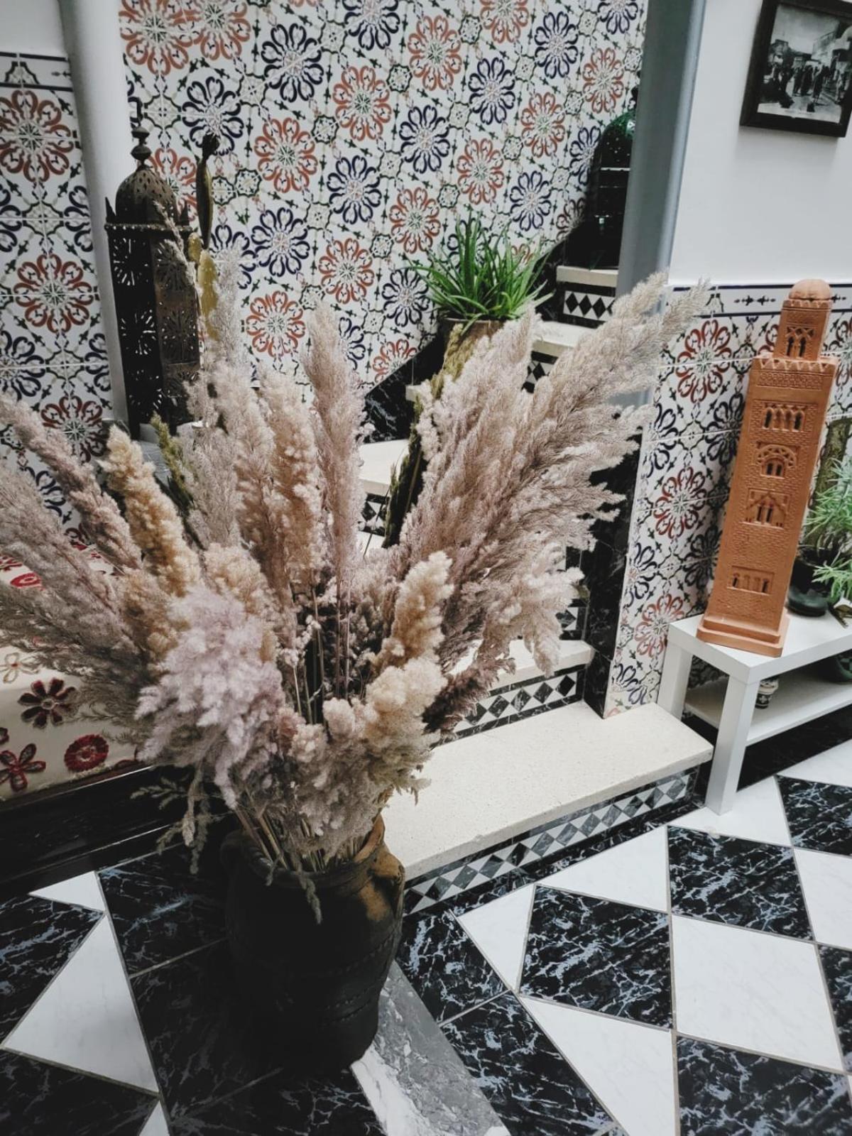 Riad Traditionnel De Charme 3 Chambres 마라케시 외부 사진